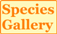 Species list